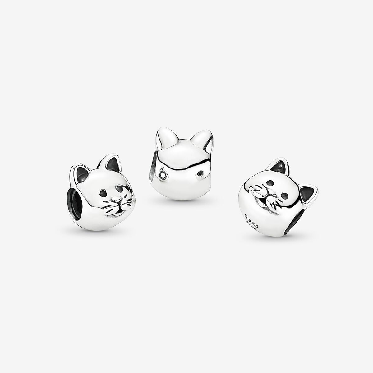CAT CHARM