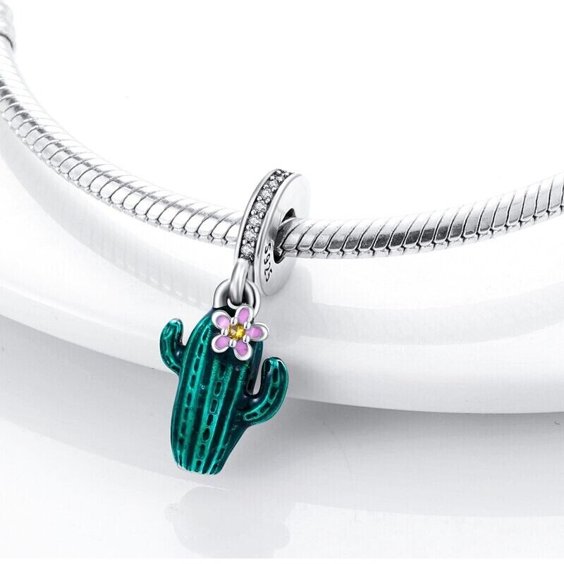CACTUS CHARM