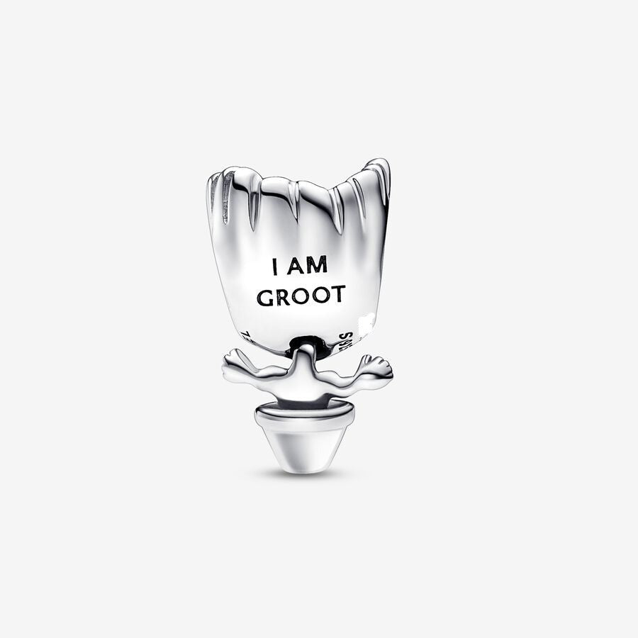 GROOT CHARM