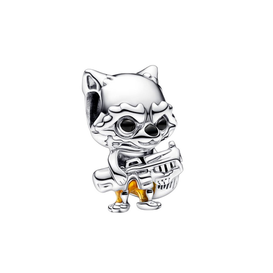 RACOON CHARM