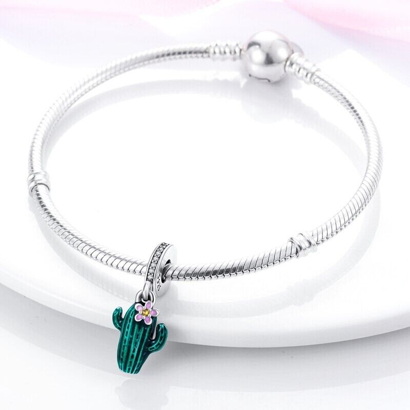 CACTUS CHARM