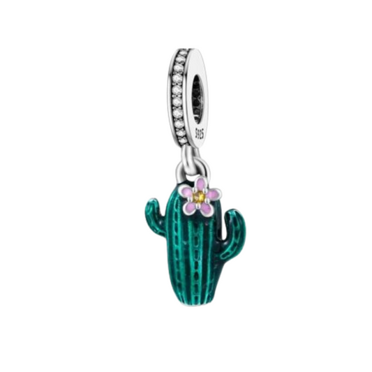 CACTUS CHARM