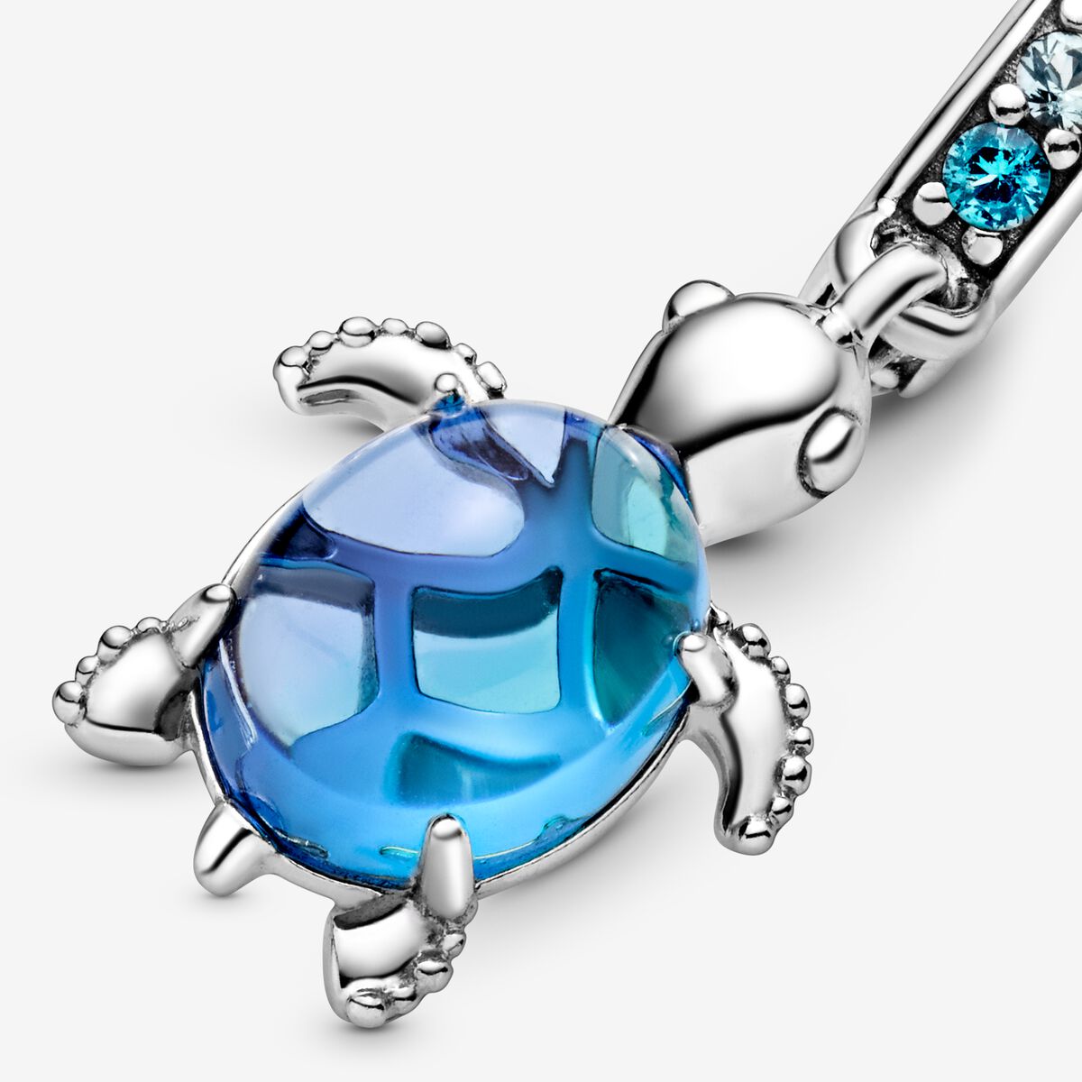 TURTLE CHARM