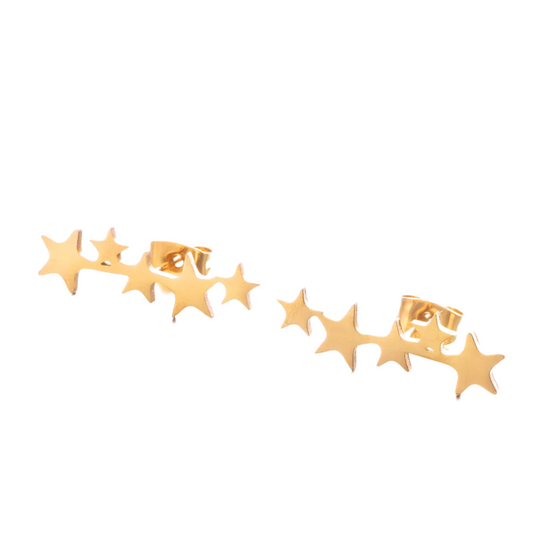 VERZI EARRINGS
